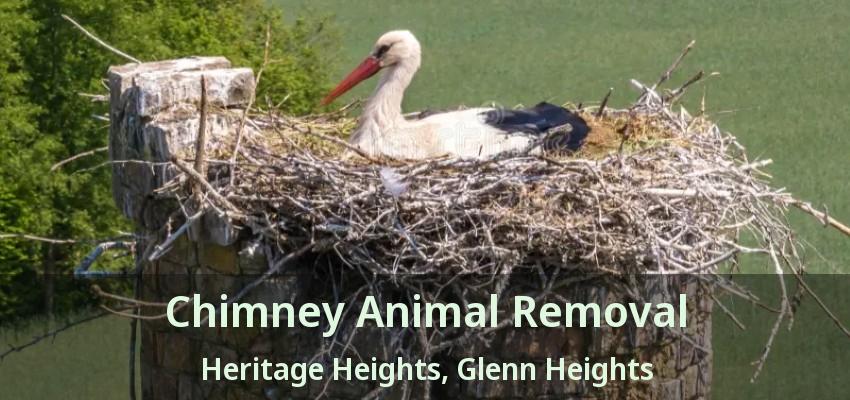Chimney Animal Removal Heritage Heights, Glenn Heights - TX