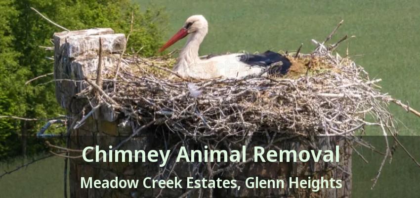 Chimney Animal Removal Meadow Creek Estates, Glenn Heights - TX