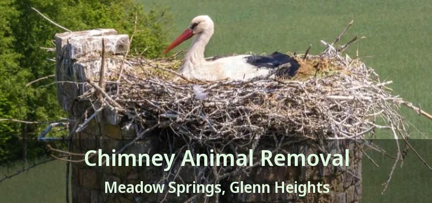 Chimney Animal Removal Meadow Springs, Glenn Heights - TX