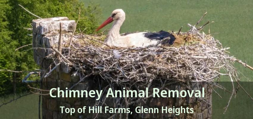 Chimney Animal Removal Top of Hill Farms, Glenn Heights - TX