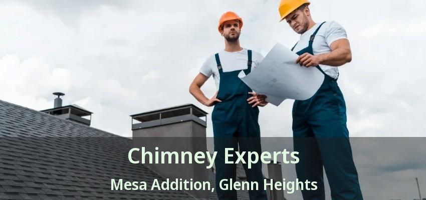 Chimney Experts Mesa Addition, Glenn Heights - TX Chimney Experts Mesa Addition, Glenn Heights - TX