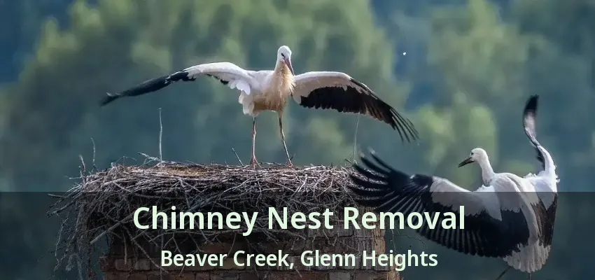 Chimney Nest Removal Beaver Creek, Glenn Heights - TX Chimney Nest Removal Beaver Creek, Glenn Heights - TX