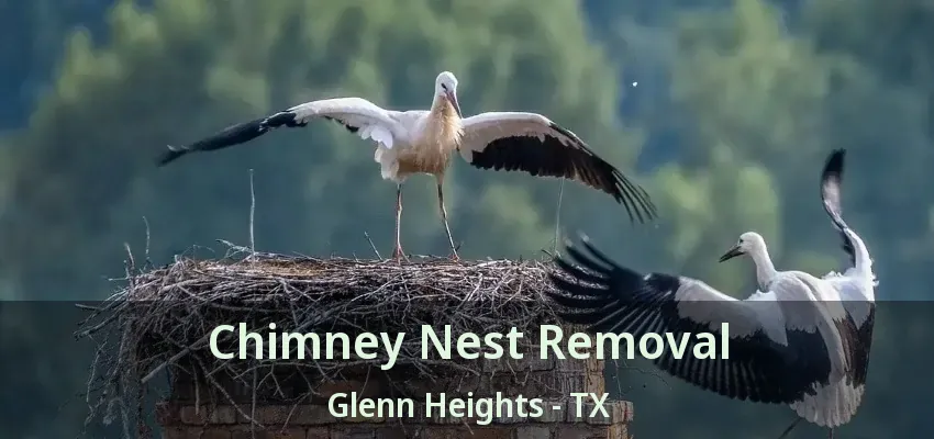 Chimney Nest Removal Glenn Heights - TX Chimney Nest Removal Glenn Heights - TX