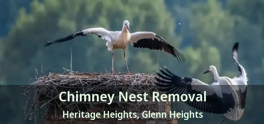 Chimney Nest Removal Heritage Heights, Glenn Heights - TX