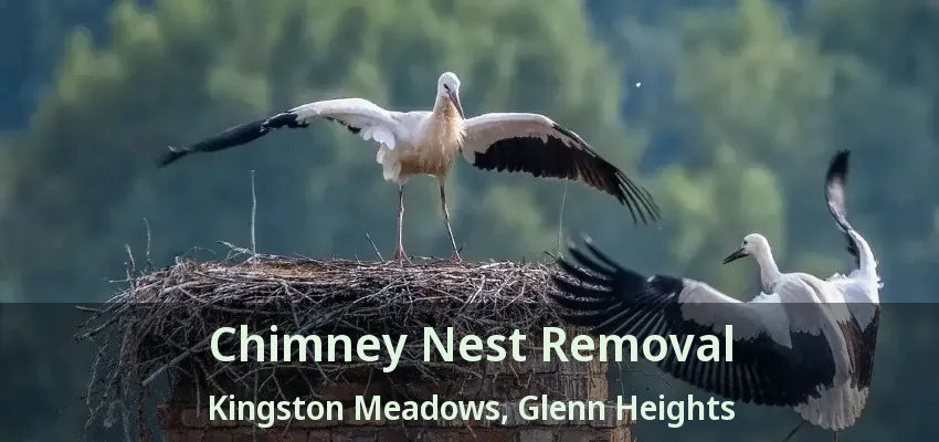 Chimney Nest Removal Kingston Meadows, Glenn Heights - TX