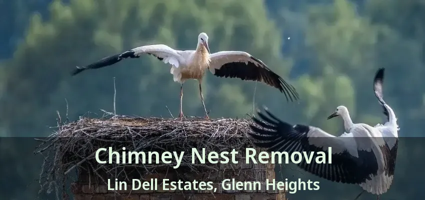 Chimney Nest Removal Lin Dell Estates, Glenn Heights - TX Chimney Nest Removal Lin Dell Estates, Glenn Heights - TX