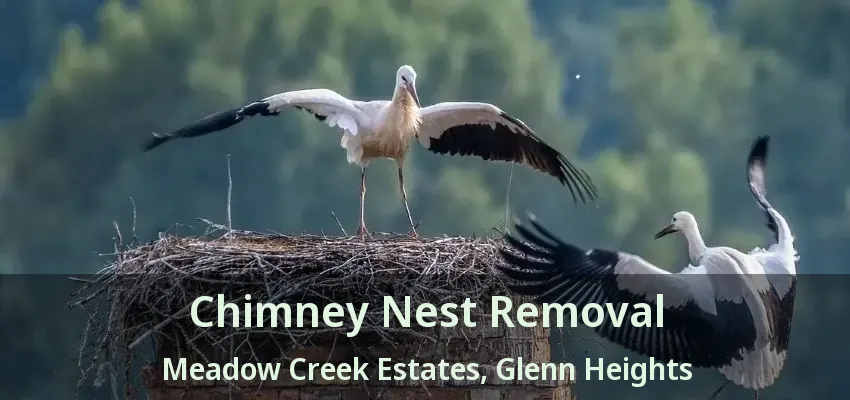 Chimney Nest Removal Meadow Creek Estates, Glenn Heights - TX