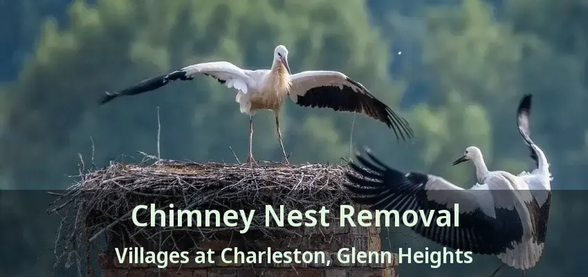 Chimney Nest Removal Villages at Charleston, Glenn Heights - TX