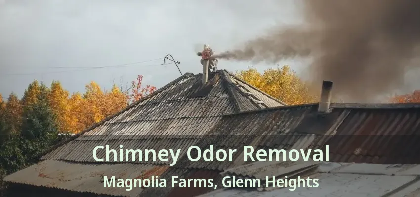 Chimney Odor Removal Magnolia Farms, Glenn Heights - TX