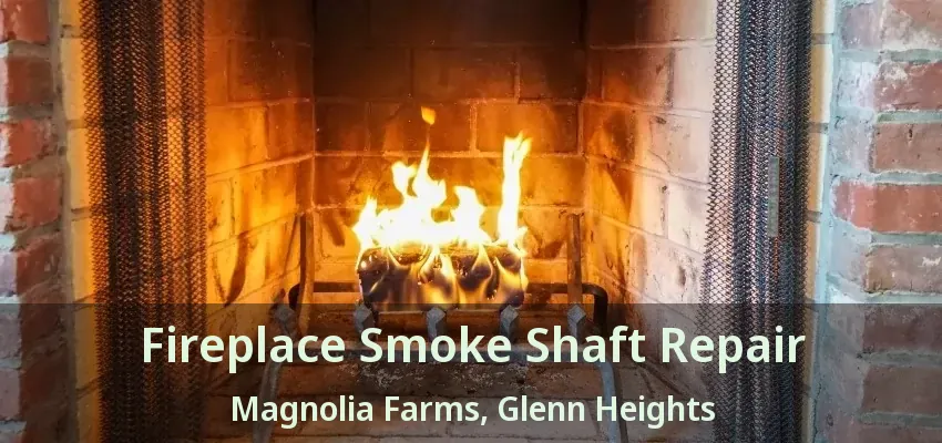 Fireplace Smoke Shaft Repair Magnolia Farms, Glenn Heights - TX