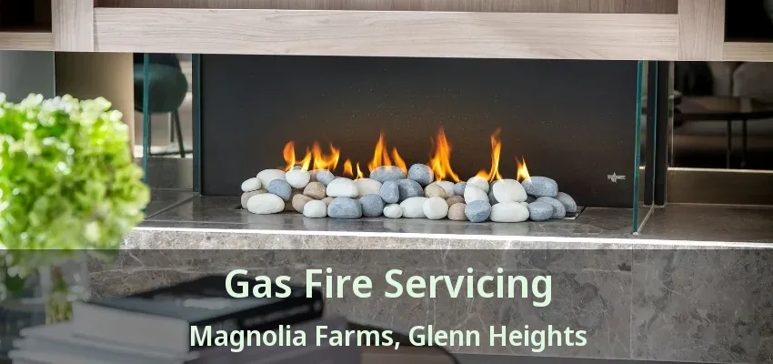 Gas Fire Servicing Magnolia Farms, Glenn Heights - TX
