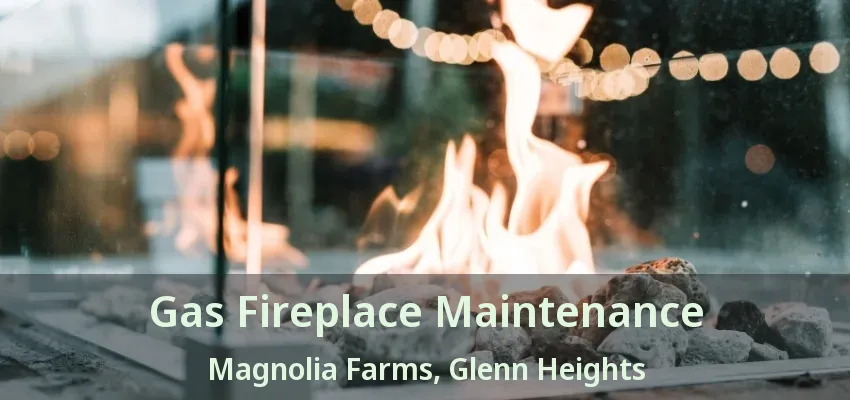 Gas Fireplace Maintenance Magnolia Farms, Glenn Heights - TX