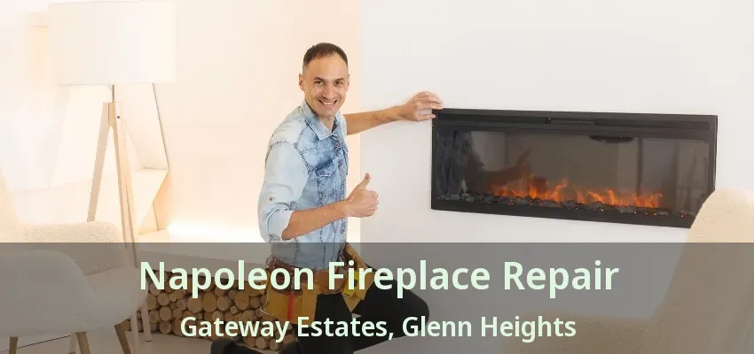 Napoleon Fireplace Repair Gateway Estates, Glenn Heights - TX