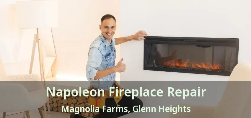 Napoleon Fireplace Repair Magnolia Farms, Glenn Heights - TX Napoleon Fireplace Repair Magnolia Farms, Glenn Heights - TX