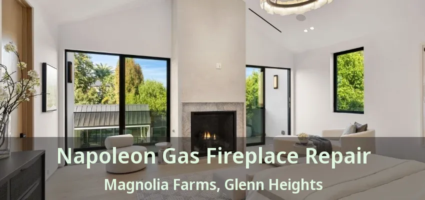 Napoleon Gas Fireplace Repair Magnolia Farms, Glenn Heights - TX