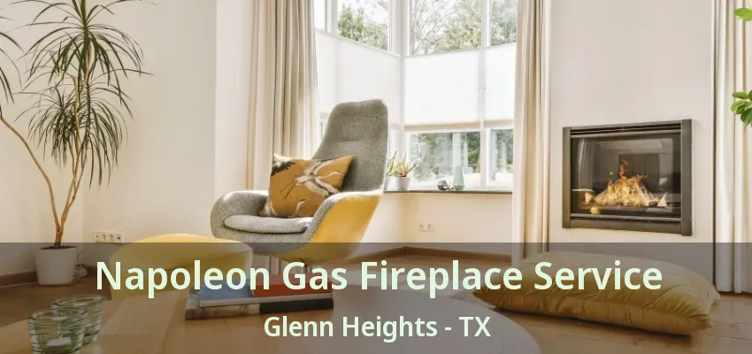 Napoleon Gas Fireplace Service Glenn Heights - TX