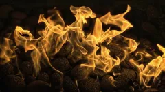 Fireplace Cleaning Service Hollywood Addition, Glenn Heights