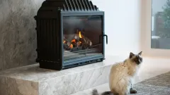 Wood Burning Fireplace Repair Meadow Springs, Glenn Heights