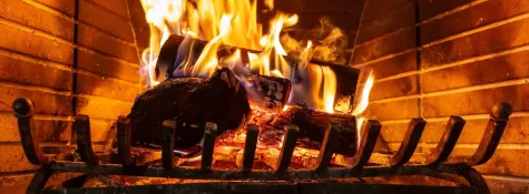 Book for Fireplace Damper Services